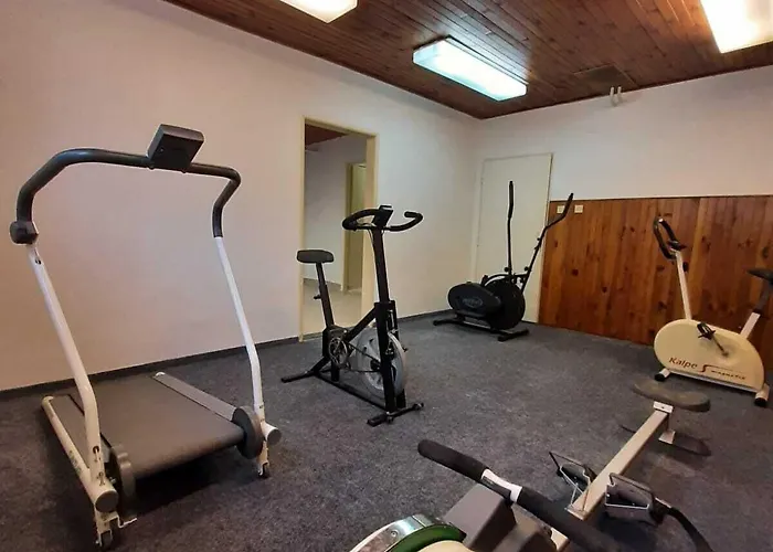 Sport Gejzirpark 카를로비바리