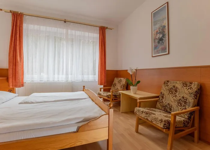 Sport Gejzirpark Hotel Karlovy Vary